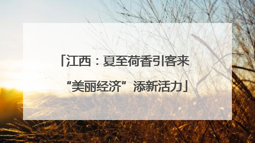 江西：夏至荷香引客来 “美丽经济”添新活力